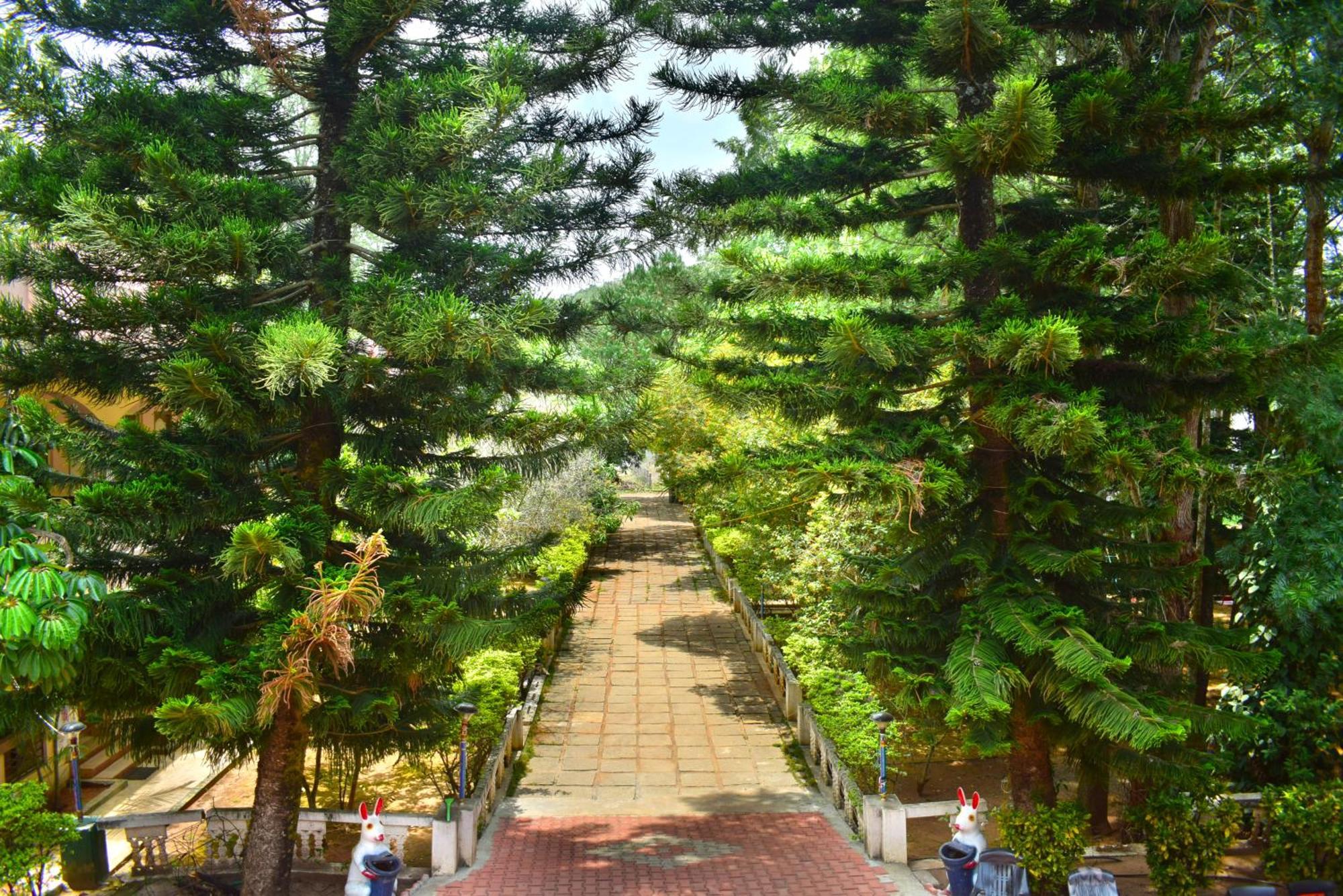 Jains Royal Palace Resorts Yelagiri Ngoại thất bức ảnh